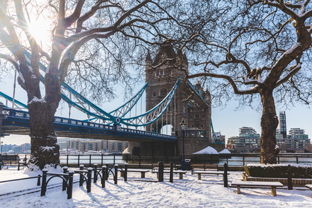 Tower bridge and trees in London with snow. Unusual view of the bridge and the capital city covered by snow. Travel and weather conceptsの写真素材