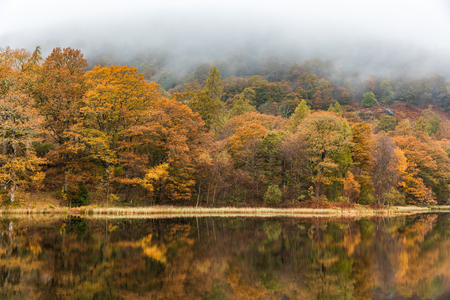 Autumn view of trees and reflection on the water. Misty and moody scene in the Lake District, UK, at peak of fall season with multicolour leaves, mainly orange and yellow. Great as a background imageの写真素材