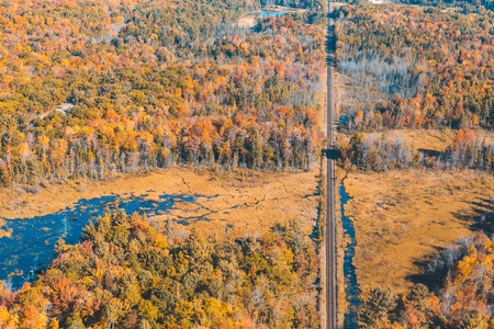 Railway through the forest with autumn colors . Photo taken in Ontario, Canada, from the helicopter during fall season. Colourful trees and wood. Travel and nature conceptsの写真素材