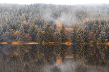 Autumn scene, mist over the trees next to the lake - Nature and travel themed composition in Wales on a moody day, remote location - Green, orange and brown leavesの写真素材