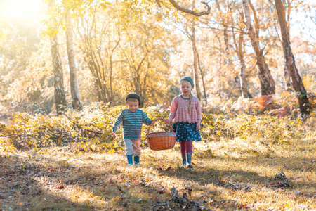 Two children carrying a picnic basket in the autumn wood - Cute brother and sister, siblings enjoying a family day out at park on a sunny day in the UK - nature and lifestyleの写真素材