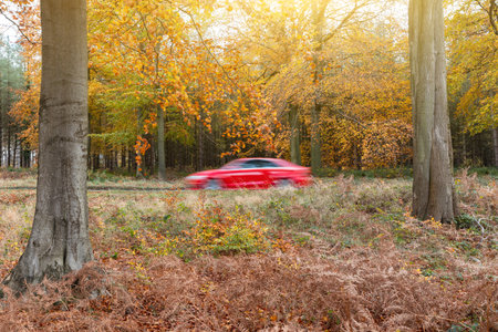 Eco-friendly car driving through green trees, panning view - Fast red environmentally friendly vehicle seen from the side in the blurred forest - Eco-friendly transportation and environment conceptの写真素材