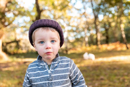 Cute little boy portrait in the wood with autumn colours - Beautiful boy with blue eyes looking at camera while enjoying a day out in the forestの写真素材