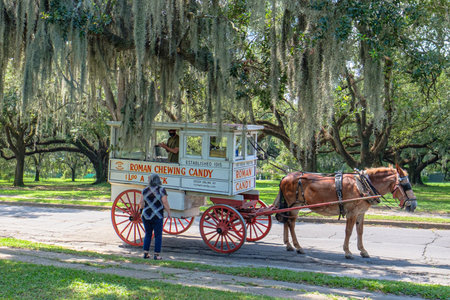 NEW ORLEANS, LA - AUGUST 20, 2020: Roman Chewing Candy Mule Drawn Wagon and Customer at Audubon Parkのeditorial素材