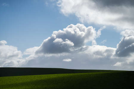 Cattle ranch farming landscape, with rolling hills and cows in fields, in Australia. Beautiful green...