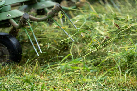 Making and growing hay and silage in Australia. with tractors and machinery in a cattle farm during summer.の写真素材