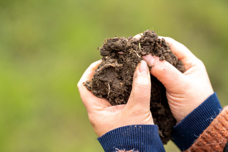 female in agriculture, soil science. agronomy on a ranch growing grass