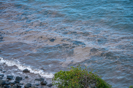 yatching in queenland australia. at a tropical island coastline in spring