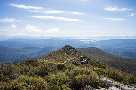 alpine plants growing on a mountain in tasmania australia. alpine landscape in americaの写真素材