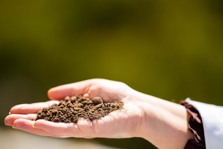 soil scientist agronomist farmer looking at soil samples and grass in a field in spring. looking at growth of plants and soilの写真素材