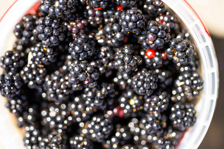 freshly picked blackberries on a table. berries on a bowl for breakfast in the kitchenの写真素材