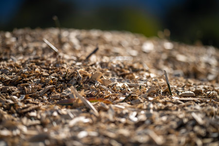 Compost pile, organic thermophilic compost turning in Tasmania Australia in springの写真素材