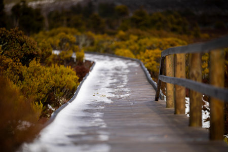snow on a boardwalk in a national park in australiaの写真素材