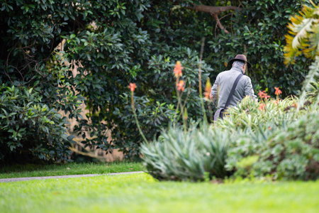 couple walking in a garden. man and woman walk in nature under trees surrounded by plants. family together in a park inの写真素材