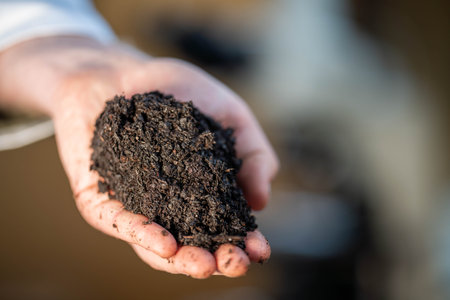 soil scientist holding a soil in a hand in a soil laboratory in australia