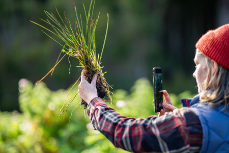 regenerative organic female farmer, taking soil samples and looking at plant growth in a farm. practicing sustainable agriculture. Taking a photo with her phone in australiaの写真素材