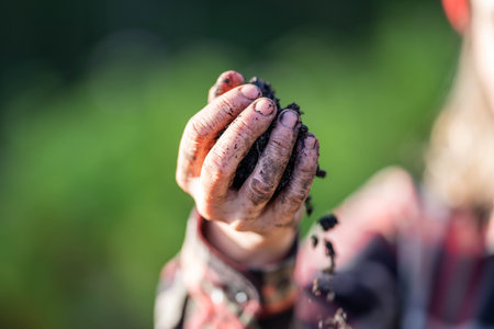 Female farmer hold soil in hands monitoring soil health on a farm in australiaの写真素材
