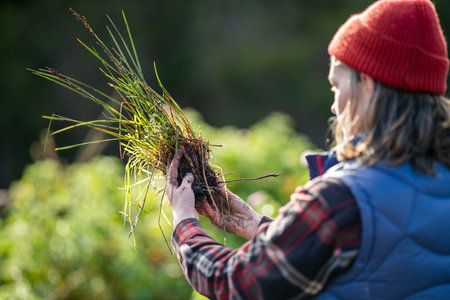 girl farmer holding plants in a field in australiaの写真素材