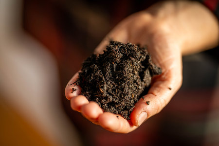 young Female soil scientist holding a soil in a hand in a soil laboratory in australiaの写真素材