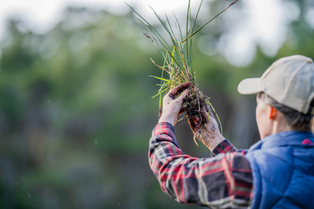 regenerative organic female farmer, taking soil samples and looking at plant growth in a farm. practicing sustainable agriculture in australiaの写真素材