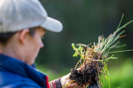regenerative organic female farmer, taking soil samples and looking at plant growth in a farm. practicing sustainable agriculture in australiaの写真素材