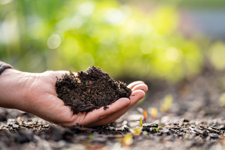 soil testing with a test tube in the soil close up the plants in the background in australiaの写真素材