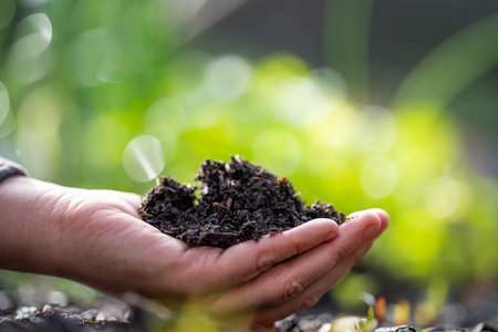Human hands holding soil with green bokeh background, Earth day conceptの写真素材