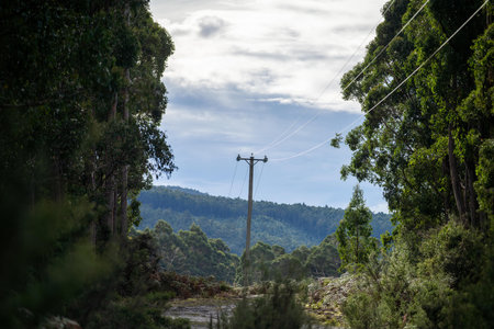 Electricity post in the forest with blue sky.の写真素材