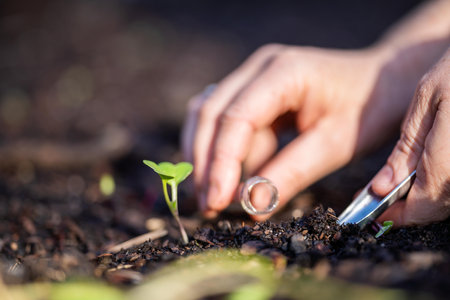 taking a soil sample for a soil test in a field. Testing carbon sequestration and plant health in Australiaの写真素材