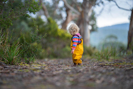 child exploring in the wild trees in englandの写真素材