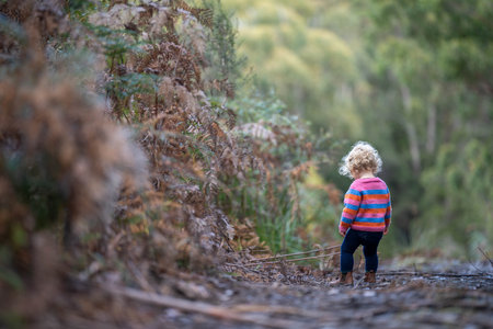 toddler walking on a hike in a park in australiaの写真素材