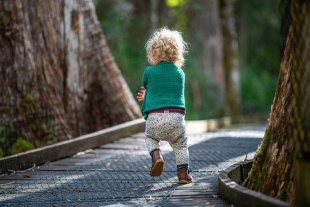 toddler walking on a hike in a park in australiaの写真素材