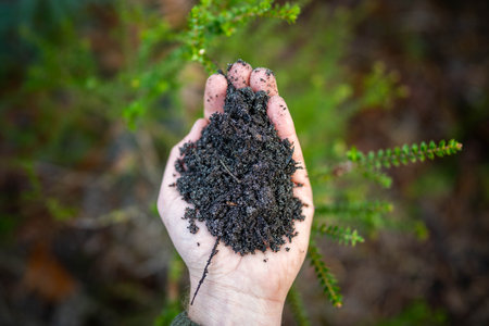 female farmer holding soil and plants looking at soil carbon in the americaの写真素材