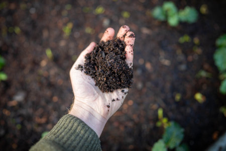 female farmer holding soil looking at soil carbon in the americaの写真素材