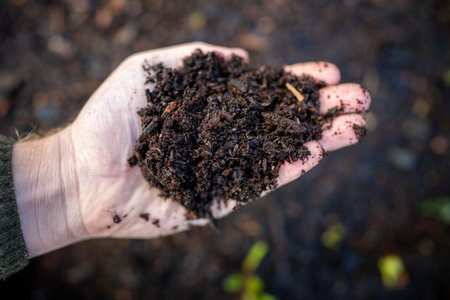female farmer holding soil looking at soil carbon in the americaの写真素材