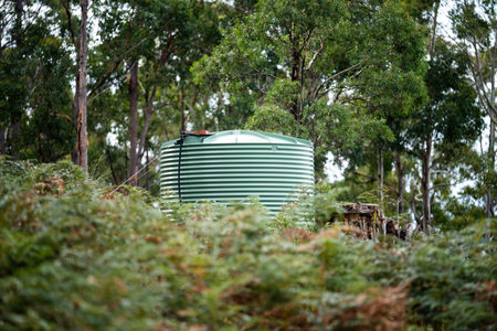 Plastic water tank in the forest of an off grid house in Australia in the bush in summer