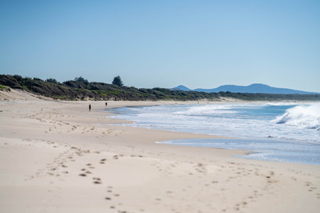 beautiful white sand australian beach in summerの素材 [FY310213024107]