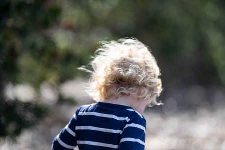 toddler on an adventure in nature in a parkの写真素材