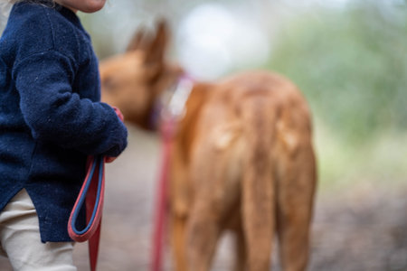 baby walking a dog on a lead in the wild forest together walking in a park in australia in spring in australiaの写真素材