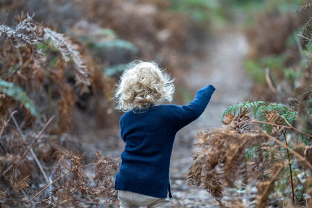 baby in the wild forest together walking in a park in americaの写真素材