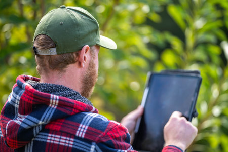 farmer wearing a hat being sun smart. using technology and a tablet and phone in a field, studying a soil and plant sample in field.の写真素材