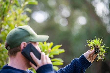 scientist agronomist farmer looking at soil samples and grass in a field in spring. looking at growth of plants and soil health, using a phone and technology to say connected in australiaの写真素材
