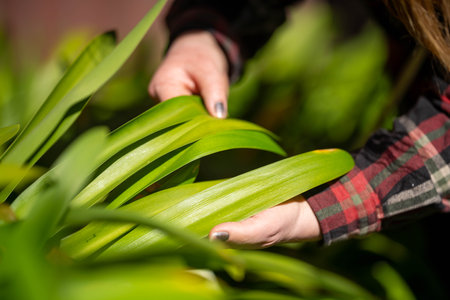 female farmer looking at crop health doing agronomy
