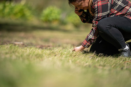 female agronomist pasture in a field on a farm in australia, woman working in agriculture in springの写真素材