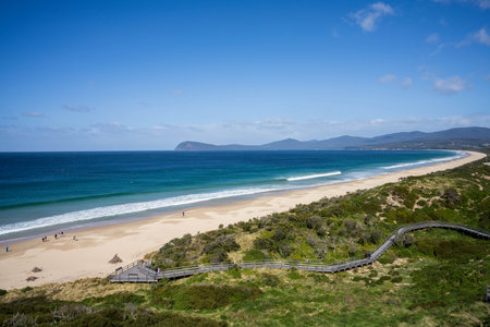 stairs up a beach lookout on bruny islandの写真素材