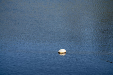 Farming landscape with a water dam on a beef farmの写真素材