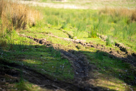 Gravel dirt road with mud and water in potholes in a park in australiaの写真素材