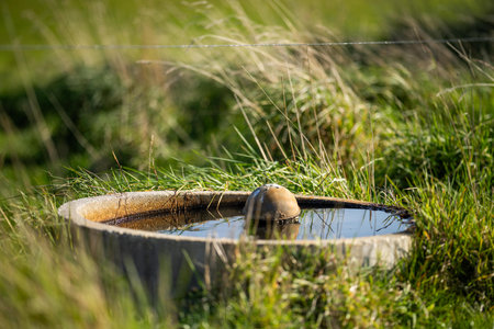 A closeup shot of a well in a grassy meadowの写真素材