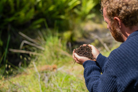 regenerative organic farmer, taking soil samples and looking at plant growth in a farm. practicing...