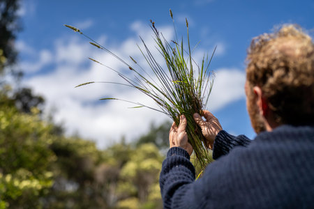 plant and soil agronomy by a farmer in a field on a farmの写真素材